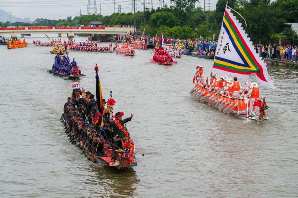 瑞安龍舟破浪前行，千年民俗再現(xiàn)盛景